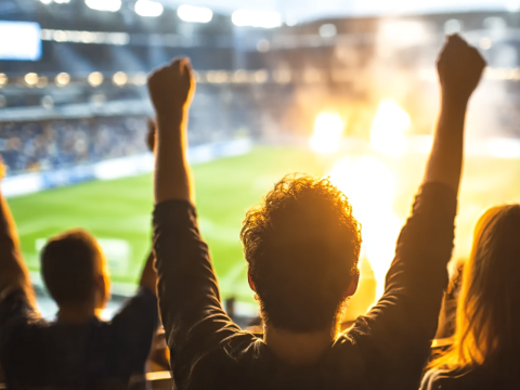 How You Can Benefit from the Fan Factor