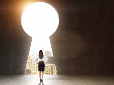 From Insights to Illumination