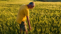 At your Service: Our Agribusiness Research Department