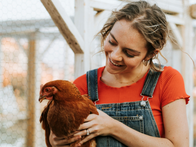 Healthy Livestock: