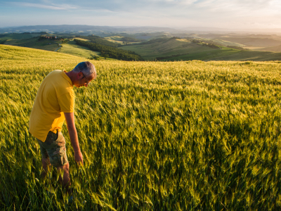 Für Sie da: Unser Fachbereich Agribusiness Research