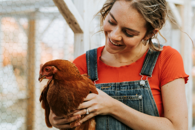 Healthy Livestock: