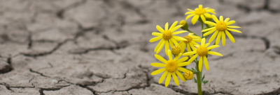 Klimawandel: 5 vor 12, aber nicht zu spät