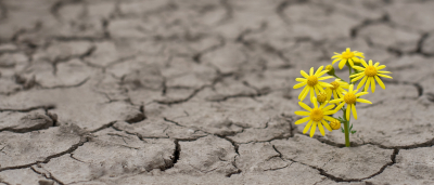 Climate change: One day before the deadline, but not too late