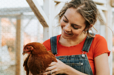 HealthyLivestock - 4th Newsletter