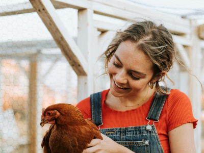HealthyLivestock - 4th Newsletter