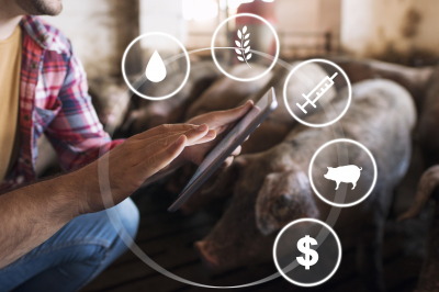 Produkt + Markt explores the benefits of precision livestock farming