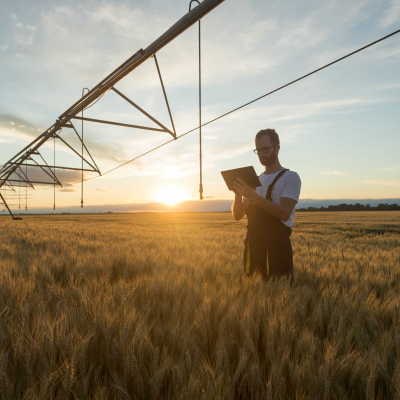 Agriculture on the digital journey